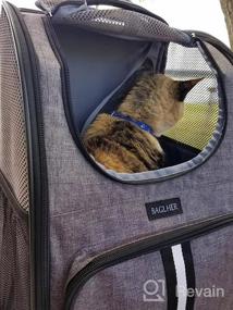 img 6 attached to Вентилируемый рюкзак-переноска для домашних животных с толстым дном для маленьких собак и кошек: идеально подходит для пеших прогулок, путешествий и использования на открытом воздухе в зеленом цвете