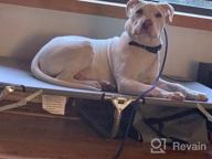 img 1 attached to Foldable Elevated Pet Cot With Steel Frame - Durable And Lightweight Portable Bed For Dogs And Cats To Play, Rest, And Relax Anywhere review by Ronald Cambridge
