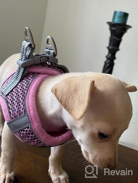 img 1 attached to Pink XS Dog And Cat Harness With Leash - Escape Proof, Reflective, And Comfortable Fit For Small To Medium Pets review by Steven Stager