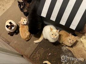 img 8 attached to Rest-Eazzzy Cat House, уличная кошачья кровать, всепогодный кошачий приют для уличных кошек, собак и мелких животных (серый S)