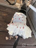 img 1 attached to 👗 CuteBone Summer Dog Dress with Harness D-Ring for Small Dogs Wedding Cat Clothes Girl Puppy Outfit Pink Shirt Flower Costume with Bow Hair Rope - DW02S review by Greg Bloom