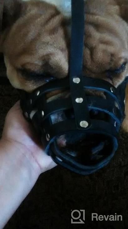 img 1 attached to Secure And Breathable Leather Basket Muzzle For Boxer And Bulldog Breeds - Anti-Bark And Chew Solutions review by Chris Edgerton