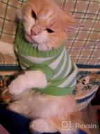 img 1 attached to Soft And Warm Striped Sweater For Cats And Small Dogs - High Stretch, Perfect For Male And Female Kittens - Knitwear Pet Clothes review by Lucas Rowe