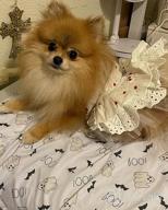 img 1 attached to 👗 CuteBone Summer Dog Dress with Harness D-Ring for Small Dogs Wedding Cat Clothes Girl Puppy Outfit Pink Shirt Flower Costume with Bow Hair Rope - DW02S review by Djmikis Parker