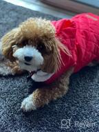 img 1 attached to Warm And Cozy: PUPTECK Winter Clothes With Hat For Small And Medium Dogs review by Sandra Goode