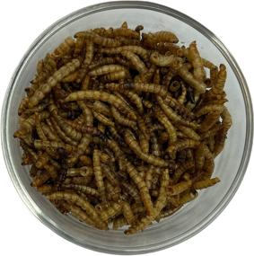 img 1 attached to Songbird Essentials SE641 Freeze MealWorms