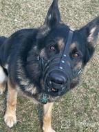 img 1 attached to Leather Basket Dog Muzzle For German Shepherd, Dalmatian, Doberman Setter & Medium-Large Breeds - Black/Brown (L) review by Jay Meza