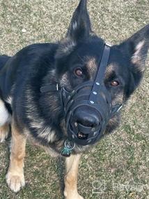img 7 attached to Leather Basket Dog Muzzle For German Shepherd, Dalmatian, Doberman Setter & Medium-Large Breeds - Black/Brown (L)