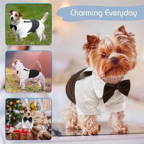 img 1 attached to 🐶 Every Small Dog Tuxedo Suit Pet Costume, Stylish Dog Tuxedo Shirt with Bow Ties Collar, Gentleman Puppy Outfit/Dress/Clothes/Shirts, Holiday Wedding Birthday Party Black/White Business Dress Up S+