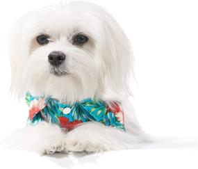 img 1 attached to Small to Medium Pets United Pups Hawaiian Shirt - Summer Luau Style Beach Camp Vacation Floral Puppy T-Shirt for Dogs and Cats