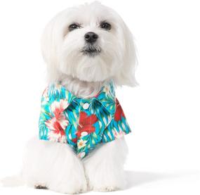 img 3 attached to Small to Medium Pets United Pups Hawaiian Shirt - Summer Luau Style Beach Camp Vacation Floral Puppy T-Shirt for Dogs and Cats