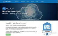 img 1 attached to Gluon CloudLink review by James Vilchez
