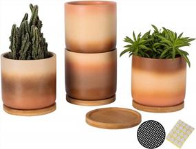 img 4 attached to Set Of 4 OMAYKEY Gradient Multicolor Ceramic Plant Pots With Bamboo Saucer, Drainage Hole, And Mesh Pads For Succulents, Indoor Flowers, Snake Plants, Cactus, And Herbs - 4 Inch