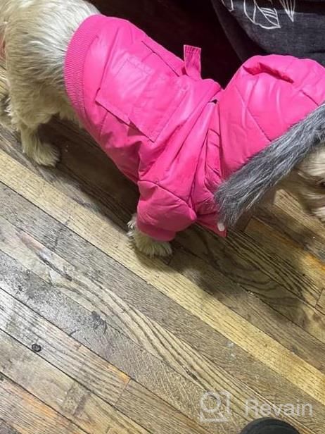 img 1 attached to Stay Warm & Stylish With Lesypet Pink Dog Winter Coat For Small Dogs review by Barb Cook