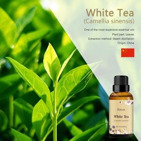img 3 attached to 30Ml White Tea Essential Oil By ESSLUX - Ideal For Aromatherapy, Massage, Soap, Candle Making And Home Fragrance