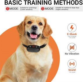 img 3 attached to 🐶 SAMGUYUE Dog Bark Collar: Humane Shock and Sound Barking Collar for Small, Medium, and Large Dogs - Adjustable Sensitivity - IPX3 Waterproof