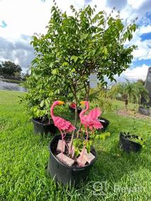 img 6 attached to Солнечные фонари Pink Flamingo Garden (2 шт.) - металлический светодиодный водонепроницаемый декор для лужайки, патио, двора