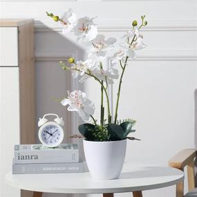 img 4 attached to Artificial Beauty: White Orchid Flowers In Pot For Home And Office Decor - Perfect Gift For Mom, Boss And Friends