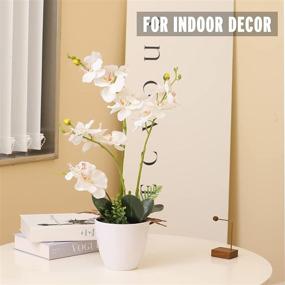 img 2 attached to Artificial Beauty: White Orchid Flowers In Pot For Home And Office Decor - Perfect Gift For Mom, Boss And Friends