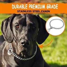 img 1 attached to 🐶 JuWow Chain Dog Training Choke Collar: Premium Stainless Steel Slip Collars for Small, Medium, Large Dogs"