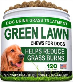 img 3 attached to Попрощайтесь с травяным ожогом и аллергией - Омега-3 лакомства для собак с DL-метионином, ферментами, тыквой и куркумой - 120 + 120 жевательных таблеток, сделанных в США