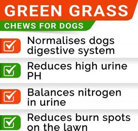 img 2 attached to Попрощайтесь с травяным ожогом и аллергией - Омега-3 лакомства для собак с DL-метионином, ферментами, тыквой и куркумой - 120 + 120 жевательных таблеток, сделанных в США