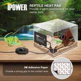 img 1 attached to 🦎 iPower 8x6-Inch 8 Watts Reptile Heating Mat with Temperature Controller - Under Tank Warmer Terrarium Heat Pad for Reptiles and Amphibians, Black
