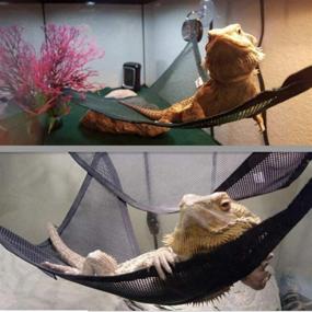 img 1 attached to 🦎 MAIMASHI Reptile Mesh Hammock: Breathable Habitat for Climbing Chameleon, Lizards, Gecko, and Snakes