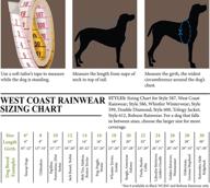 rc pet products собаки западного побережья хороши в одежде и аксессуарах. логотип