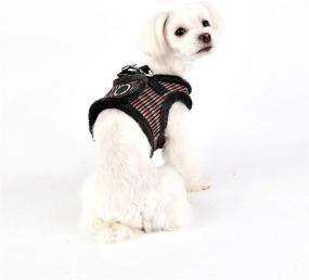 img 3 attached to 🐾 Puppia Elliott Vest Harness B: Secure and Stylish Dog Harness for Ultimate Comfort