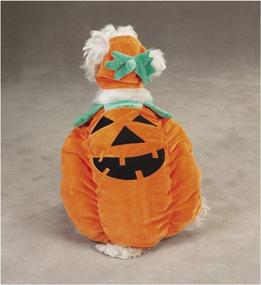 img 2 attached to 🎃 Zack & Zoey Pumpkin Pooch Costume in Medium: Get Your Furry Friend Halloween Ready!