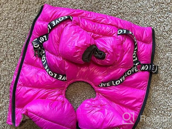 img 1 attached to Didog Winter Small Dog Coats: Waterproof, Warm & Harness Compatible For Puppy & Cat Walking Hiking - Red (Chest 13") review by Chris Maurer