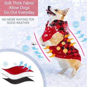 img 3 attached to ROZKITCH Detachable Weather Windproof Waterproof Dogs