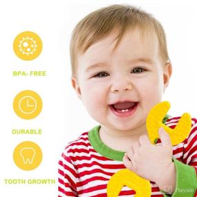 img 3 attached to 👶 Zdolmy Teething Toys: BPA-Free Silicone Set for 0-12 Months - 4 Pack