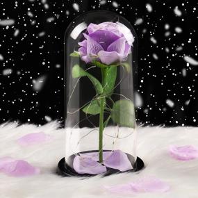 img 4 attached to Vieshful Exquisite Rose In Glass Dome Purple Eternal Rose With LED Light,Artificial Flower Last Forever Valentine'S Day Birthday Mothers Day Wedding For Her
