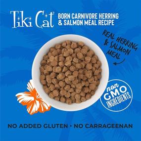img 2 attached to 🐱 Tiki Cat Born Carnivore Grain-Free, Low-Carb Dry Cat Food with Fresh Protein, Fish Luau - 11.1 lbs.