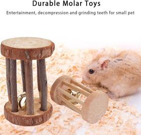 img 1 attached to 🐹 ACEONE Hamster Chew Toys - Wooden Molar Toys for Guinea Pig, Chinchilla, Gerbil, Rat, Bunny, Rodent, and Other Small Animals (8Pcs)