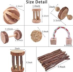 img 3 attached to 🐹 ACEONE Hamster Chew Toys - Wooden Molar Toys for Guinea Pig, Chinchilla, Gerbil, Rat, Bunny, Rodent, and Other Small Animals (8Pcs)