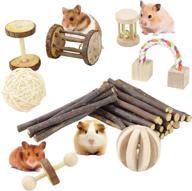 🐹 aceone hamster chew toys - wooden molar toys for guinea pig, chinchilla, gerbil, rat, bunny, rodent, and other small animals (8pcs) logo