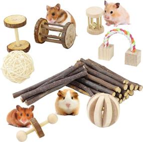 img 4 attached to 🐹 ACEONE Hamster Chew Toys - Wooden Molar Toys for Guinea Pig, Chinchilla, Gerbil, Rat, Bunny, Rodent, and Other Small Animals (8Pcs)