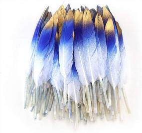img 3 attached to 50 Colorful Gold Goose Feathers For Art And Craft - 4-6 Inches - Perfect For Party Decoration, Clothing Accessories, And More - Royal Blue And Gold Duck Feathers