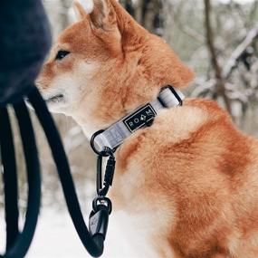 img 2 attached to 🐶 ROAM Premium Adjustable Dog Collar - Heavy-Duty Nylon Collar with Quick-Release Metal Buckle