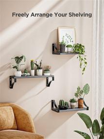 img 3 attached to 📚 AMADA HOMEFURNISHING Set of 3 Floating Shelves - Rustic Gray Wood Wall Shelves for Bedroom, Bathroom, Living Room, Kitchen, Laundry Room Storage & Decoration