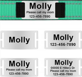 img 1 attached to Taglory Personalized Dog Collars For Large Dogs, Custom Reflective Dog Collar With Name Plate, Padded Pet Collar With Engraved Slide On ID Tags, Turquoise