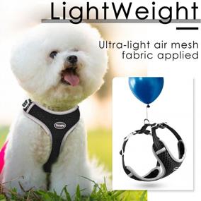 img 3 attached to Reflective Soft Mesh No-Pull Puppy Harness, Over-Head Design For Choke-Free Walking. Ideal For Small/Medium Dogs And Cats. Breathable And Ventilated (Black, Size M)