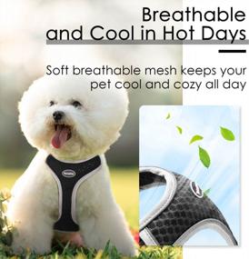 img 2 attached to Reflective Soft Mesh No-Pull Puppy Harness, Over-Head Design For Choke-Free Walking. Ideal For Small/Medium Dogs And Cats. Breathable And Ventilated (Black, Size M)