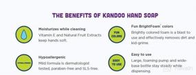 img 1 attached to 🌈 Kandoo Kids Hand Soap: Funny Berry Scent, Moisturizing Colored Foam with Vitamin E - 8.4 Oz
