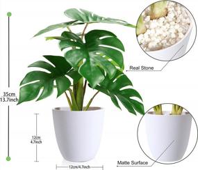 img 2 attached to Искусственное растение Monstera Deliciosa: идеально подходит для домашнего и офисного декора!