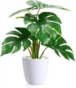 img 4 attached to Искусственное растение Monstera Deliciosa: идеально подходит для домашнего и офисного декора!