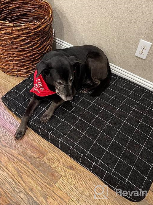 img 1 attached to Comfort Your Pup With The Barkbox Large Memory Foam Dog Bed For Orthopedic Joint Relief In Plush Grey. review by Heidi Smith